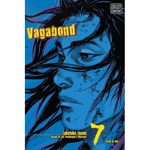 Vagabond (Vizbig Edition), Vol. 7
