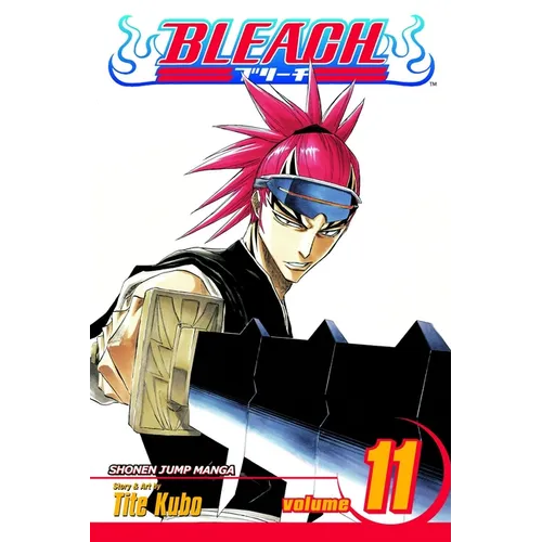 Bleach, Vol. 11: A Star and a Stray Dog