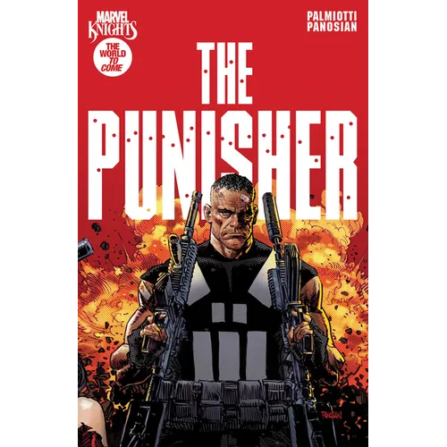 Marvel Knights: Punisher
