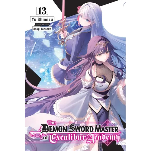 The Demon Sword Master of Excalibur Academy, Vol. 13 (Light Novel)