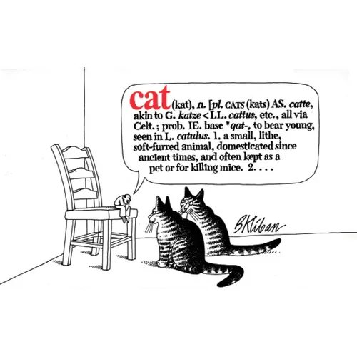 Cat